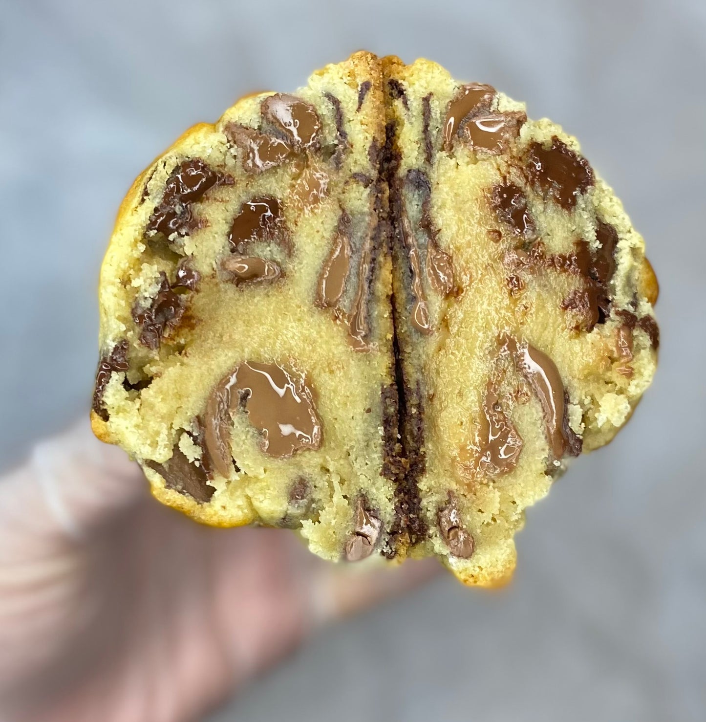 Chocolate Chip cookie