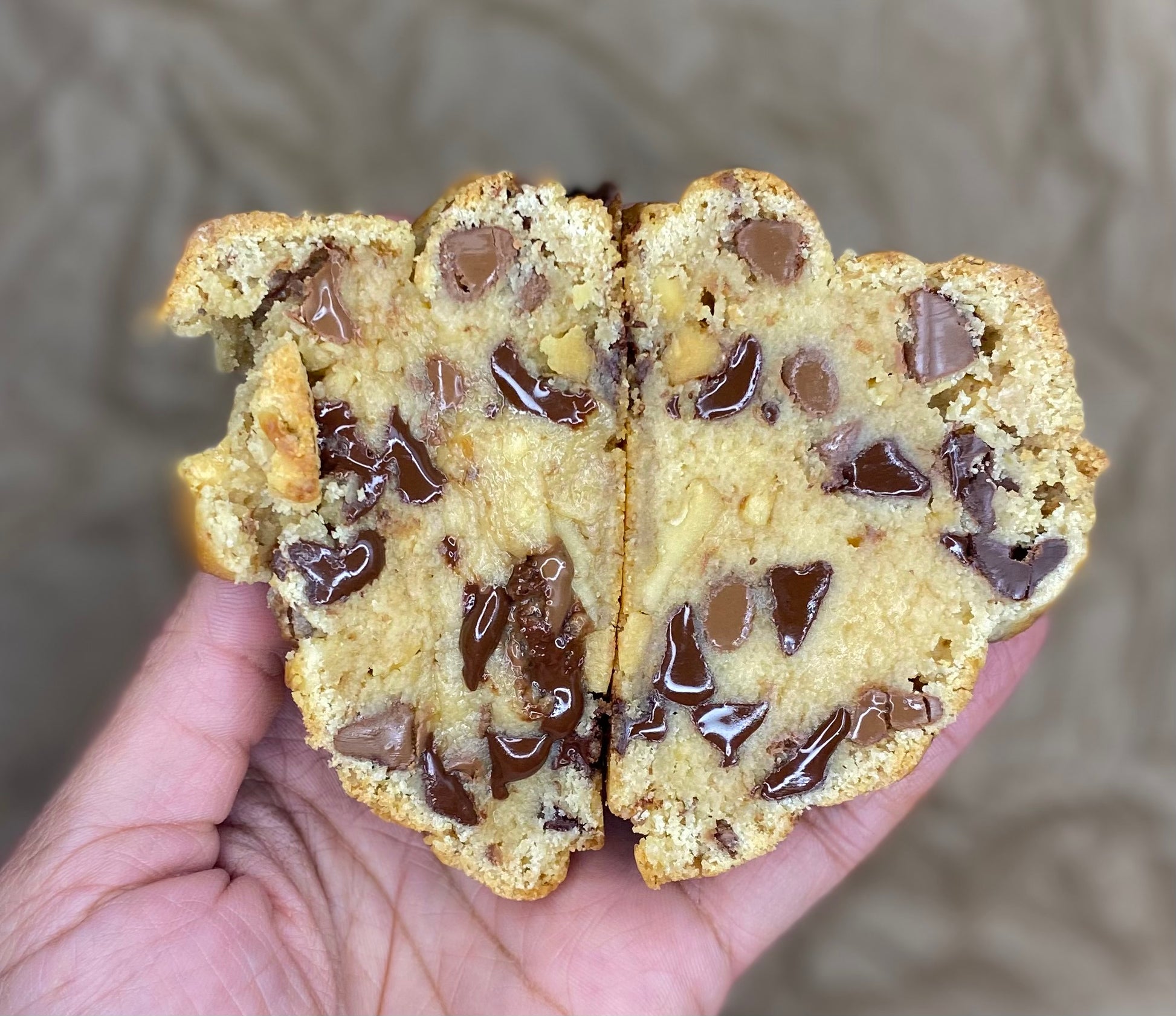 Walnut Chocolate Chip